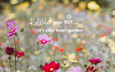 Your October update: Rewilding your Gut!